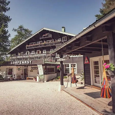 Hotel Biohotel Grafenast 3*