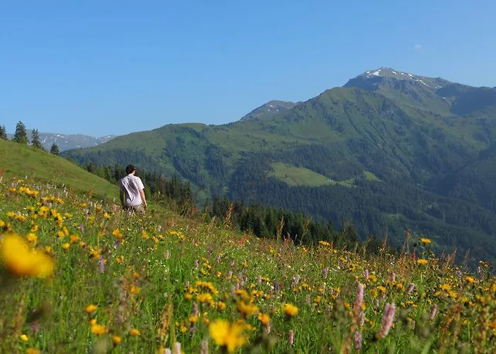 Biohotel Grafenast 3*