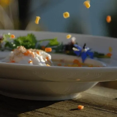 Biohotel Grafenast Szálloda Pill