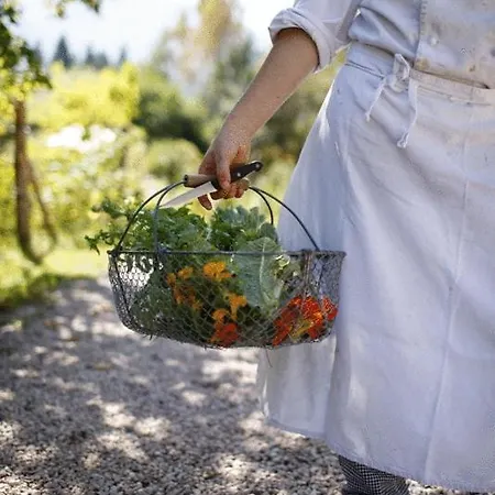 Biohotel Grafenast Pill