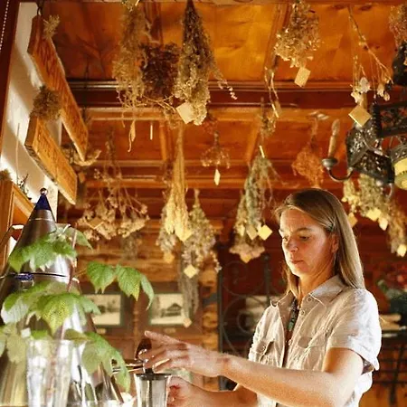 Biohotel Grafenast Szálloda Pill