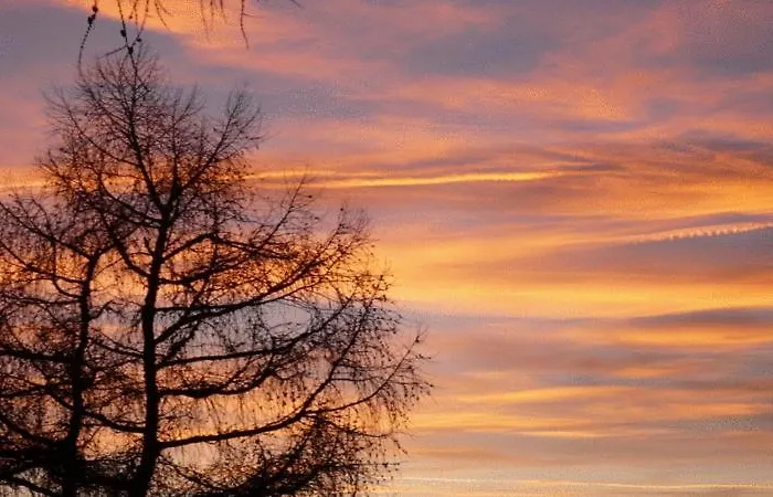 Hotel Biohotel Grafenast