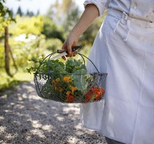 Biohotel Grafenast Pill