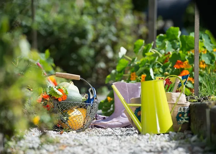 Biohotel Grafenast Pill