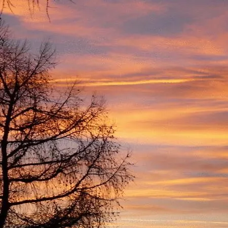 ホテル Biohotel Grafenast