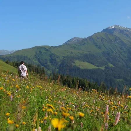 Biohotel Grafenast 3*