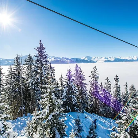 Biohotel Grafenast Hotel 3*