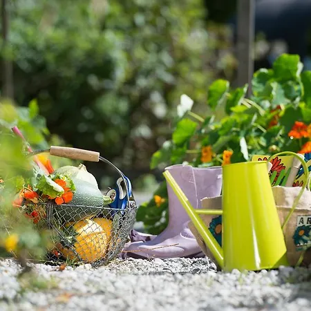 Biohotel Grafenast Pill